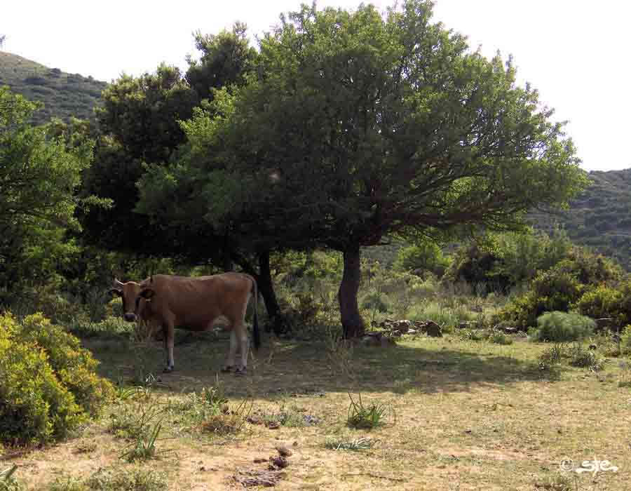 Pomeriggio a Chinca